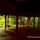 京都蓮華寺の庭園（1）