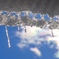 虹雲