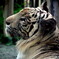 東武動物公園