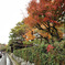 Ishi-kun_8124