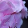 77108501-1A72-4C12-8791-554BA58E0F6B