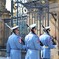 衛兵交代式
