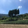 2020/08/30_大通領神社