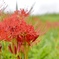 D344853B-5AF3-41D7-9020-2F52E2AA151E