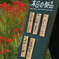 無人販売所