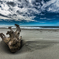 Autumn beach