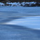 DSC_2667_733