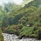 白い川