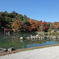 DSC00888