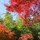 DSC00904