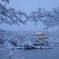 DSC01686
