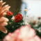 生花