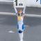 サーキットの女神