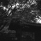 「9/27 久良岐公園で」 (film)