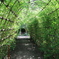 向島百花園