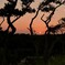 秋・岬の夕景