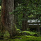 平泉寺白山神社