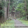 平泉寺白山神社2