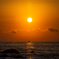 太陽の元で