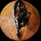 Cat's eye!