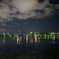 大濠公園夜景