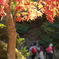 紅葉ハイキング
