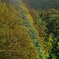 IMG_20200927_163210_927虹
