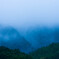 私は・・・霧煙るこの山が好き