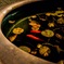 GOLD FISH