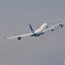 ☁「雲」SAS A340-313 LN-RKG　Takeoff  