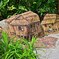 Botanic Garden 3 (3)_00001
