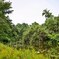 Botanic Garden 3 (11)_00001