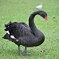 Botanic Garden 3 (7)_00001