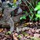 Botanic Garden 3 (18)_00001
