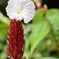 Botanic Garden 3 (20)_00001