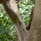 Botanic Garden 3 (28)_00001