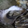 海からの贈り物