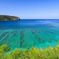 うみがめも愛す海