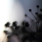sentimental