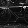 一月。雨、自転車