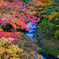 2020-10-16_龍頭ノ滝(上流-3)