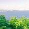 猿島