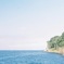 猿島