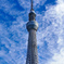 秋空