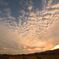 鱗雲夕景