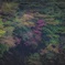 染る手前