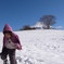 初雪遊び