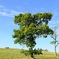 IMG_20201018_202709