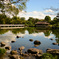 Japanese garden