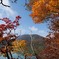 紅葉の小沼湖畔